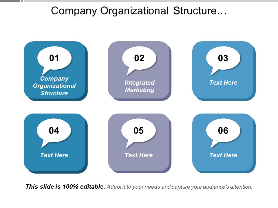 Company Organizational Structure Integrated Marketing Ppt PowerPoint Presentation Infographic Template Graphic Tips