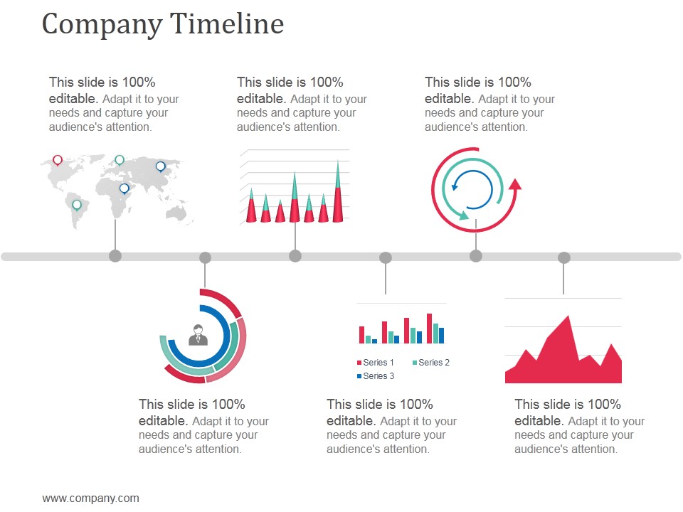 Company Timeline Ppt Powerpoint Presentation Icon Information