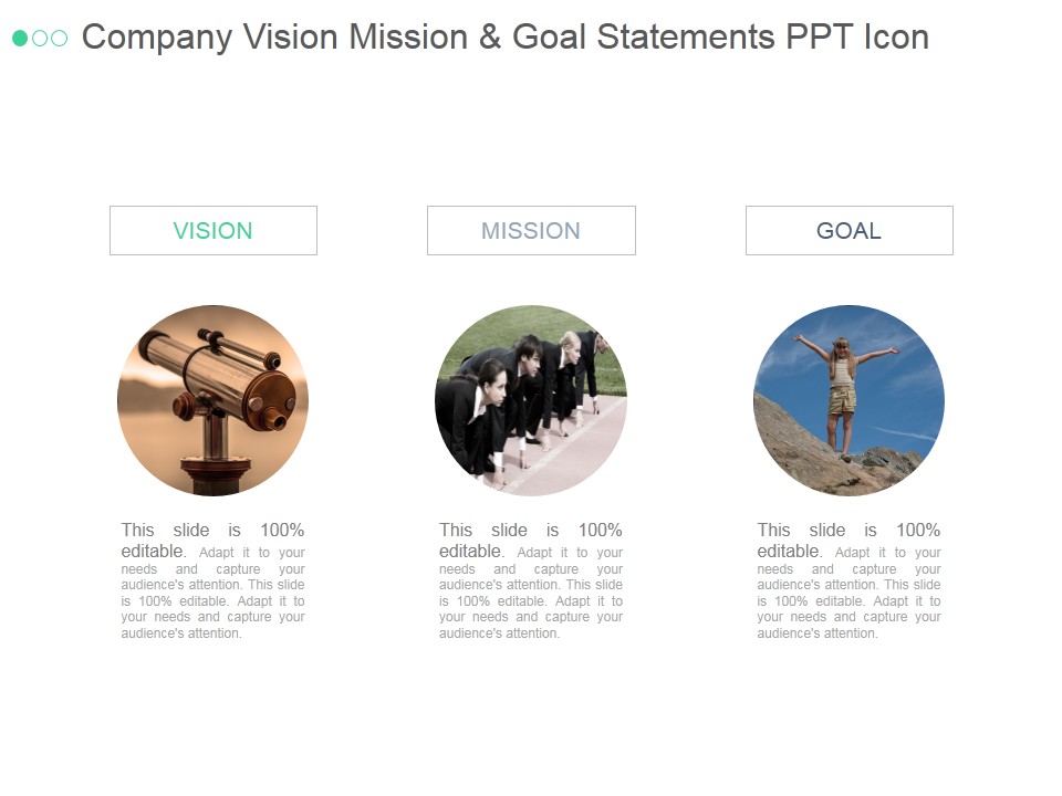 Company Vision Mission And Goal Statements Ppt PowerPoint Presentation Designs Download