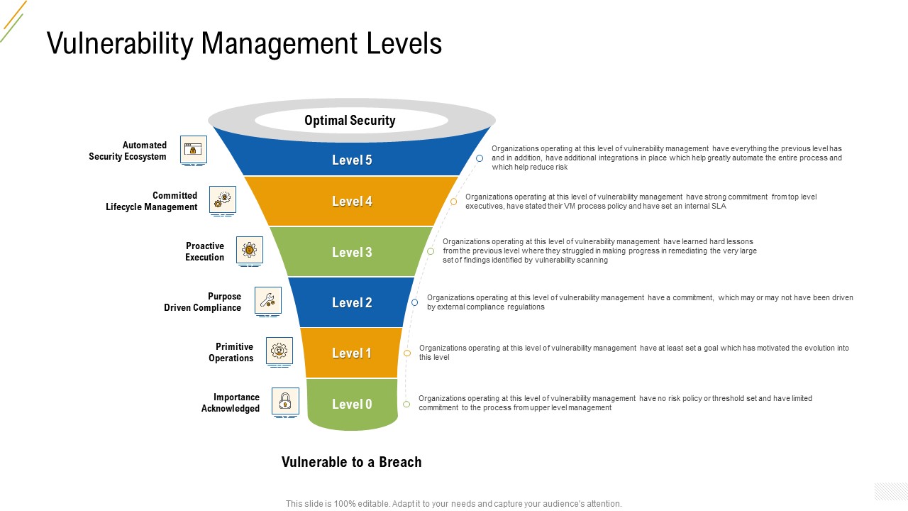 Company Vulnerability Administration Vulnerability Management Levels Elements PDF