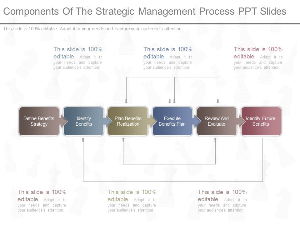 Components Of The Strategic Management Process Ppt Slides
