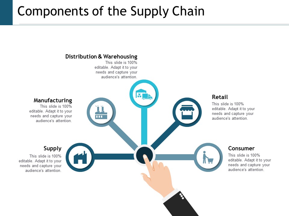 Components Of The Supply Chain Ppt Powerpoint Presentation Layouts Format Ideas