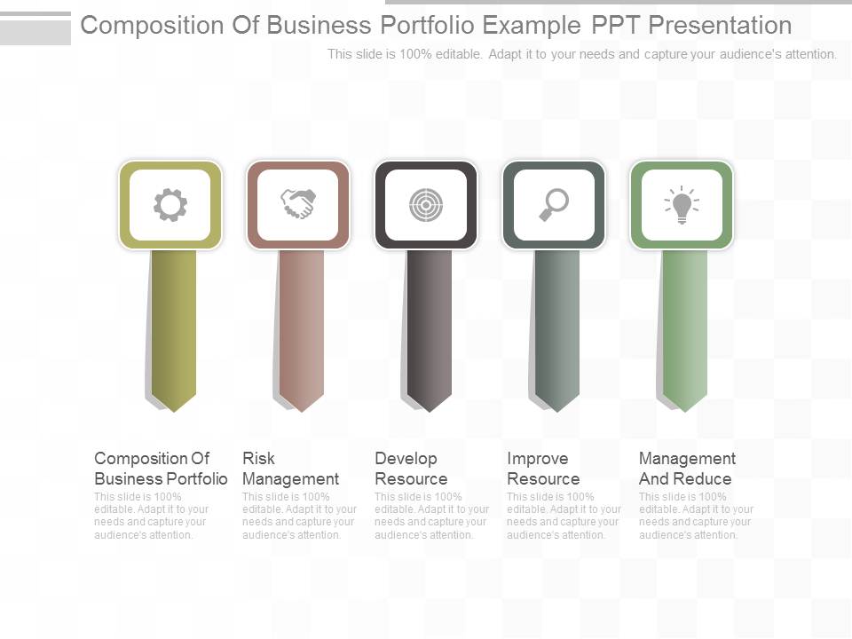 Composition Of Business Portfolio Example Ppt Presentation