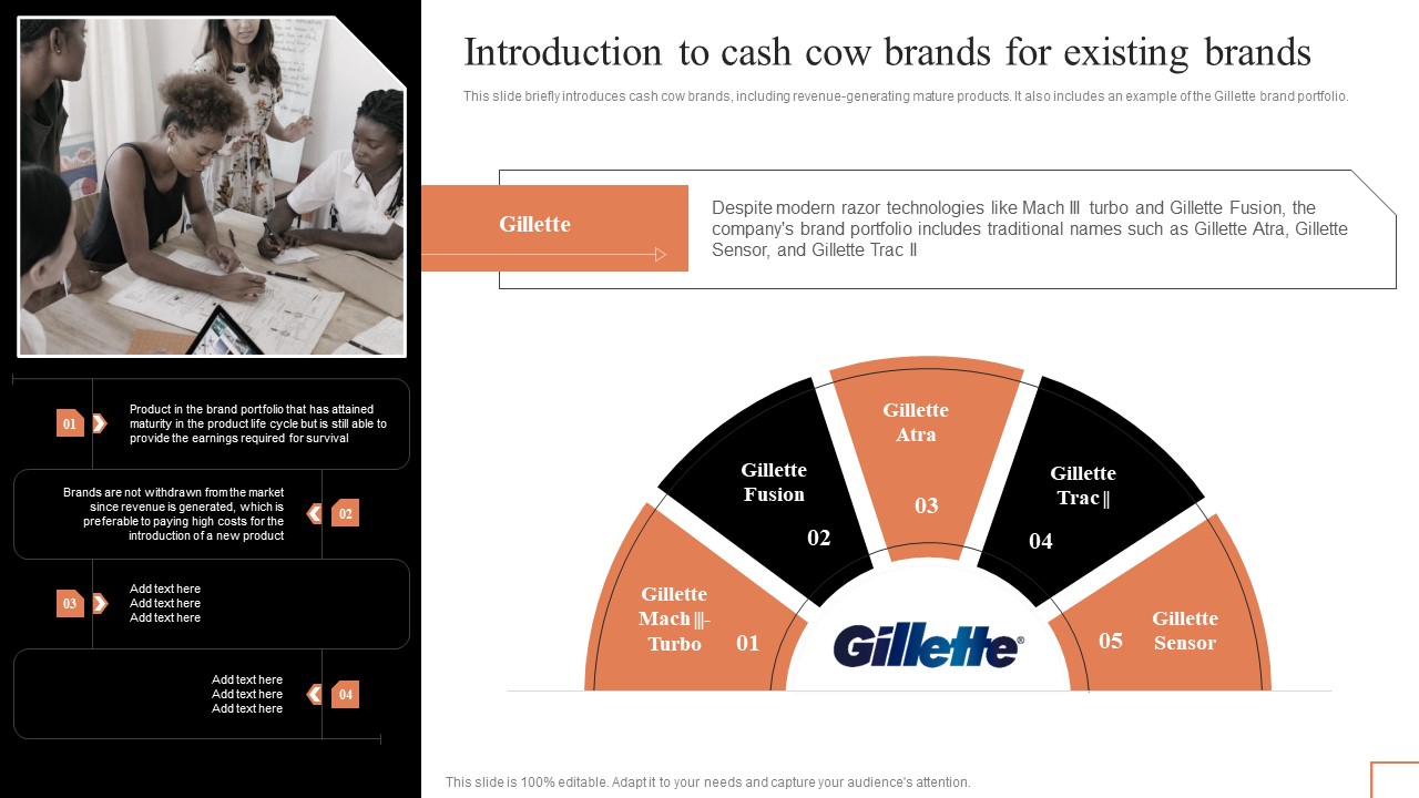 Comprehensive Guide To Manage Brand Portfolio Introduction To Cash Cow Brands For Existing Brands Guidelines PDF