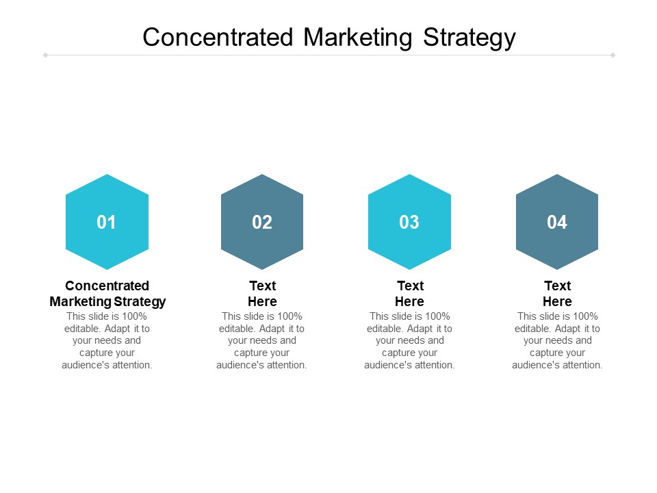 Concentrated Marketing Strategy Ppt PowerPoint Presentation Show Cpb