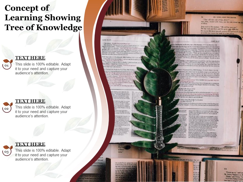 Concept Of Learning Showing Tree Of Knowledge Ppt PowerPoint Presentation Outline Outfit PDF