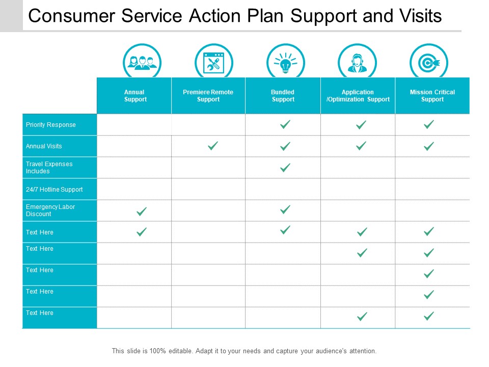 Consumer Service Action Plan Support And Visits Ppt Powerpoint Presentation Show Graphics Example