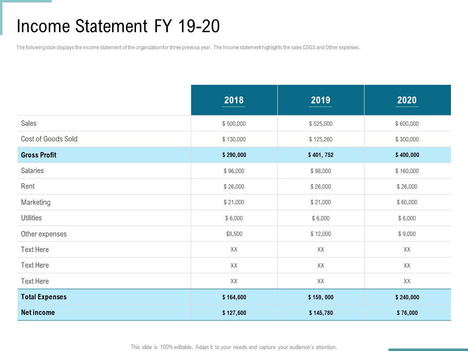 Corporate Execution And Financial Liability Report Income Statement FY 19 20 Sample PDF