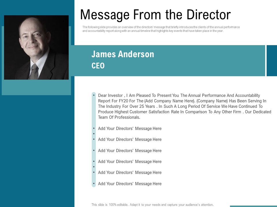 Corporate Execution And Financial Liability Report Message From The Director Structure PDF