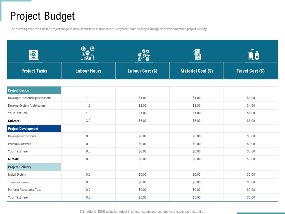 Corporate Execution And Financial Liability Report Project Budget Portrait PDF