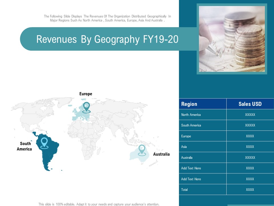 Corporate Execution And Financial Liability Report Revenues By Geography FY19 20 Designs PDF