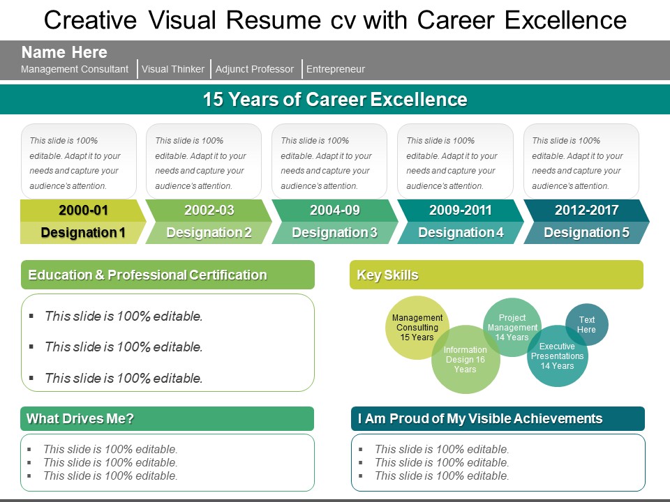 Creative Visual Resume CV With Career Excellence Ppt PowerPoint Presentation Show Gridlines PDF