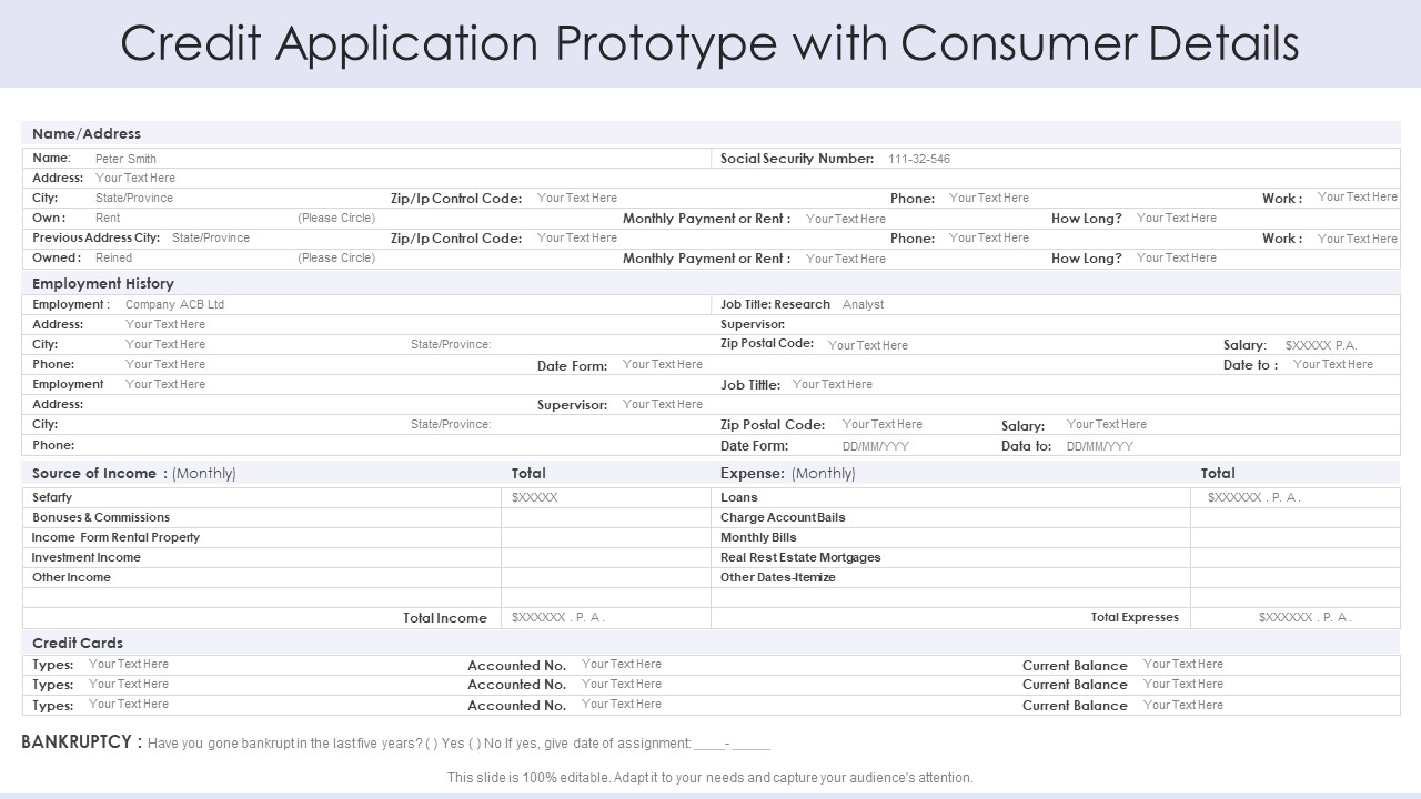 Credit Application Prototype With Consumer Details Information PDF