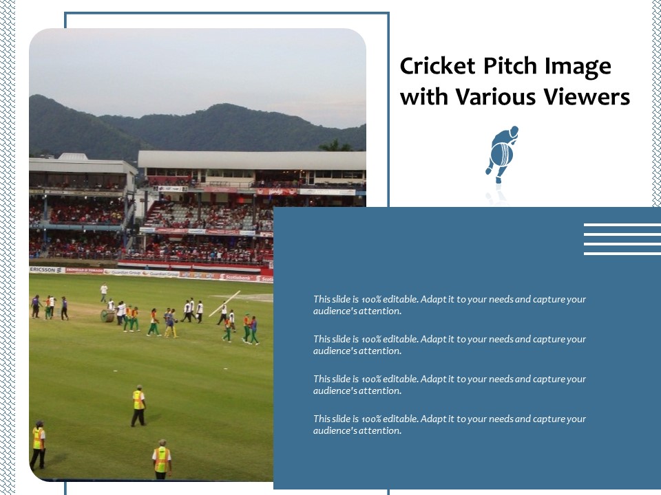 Cricket Pitch Image With Various Viewers Ppt PowerPoint Presentation Gallery Vector PDF