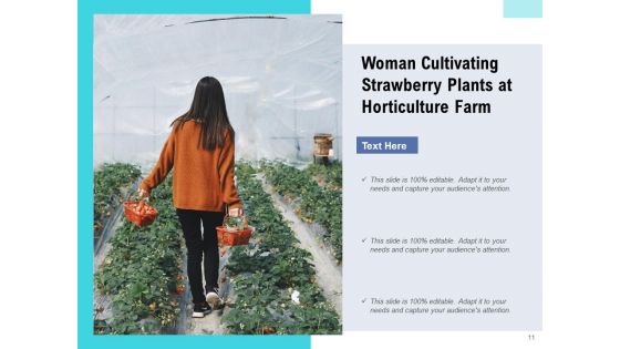 Cultivation Horticulture Research Ppt PowerPoint Presentation Complete Deck