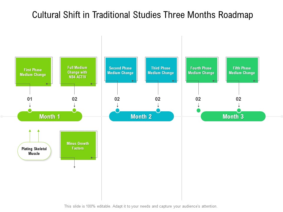 Cultural Shift In Traditional Studies Three Months Roadmap Template