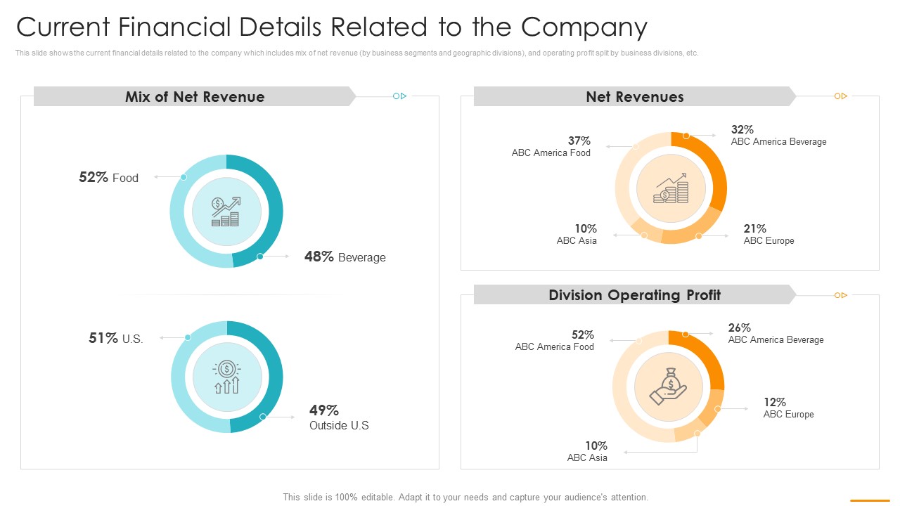 Current Financial Details Related To The Company Ppt Infographics Show PDF