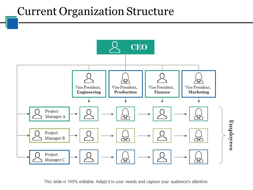Current Organization Structure Ppt PowerPoint Presentation Portfolio Designs Download