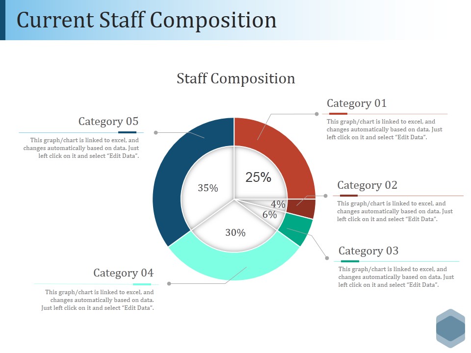 Current Staff Composition Ppt PowerPoint Presentation Infographics Design Inspiration