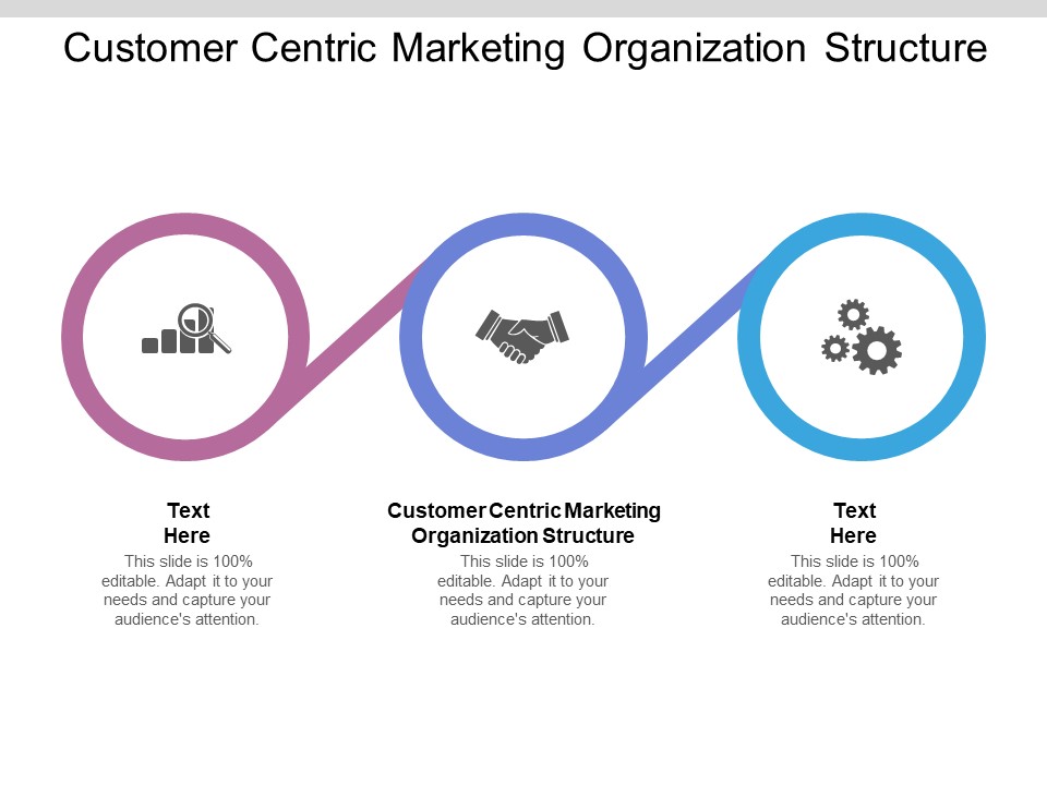 Customer Centric Marketing Organization Structure Ppt PowerPoint Presentation Portfolio Slide Cpb