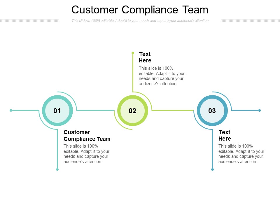 Customer Compliance Team Ppt PowerPoint Presentation Outline File Formats Cpb