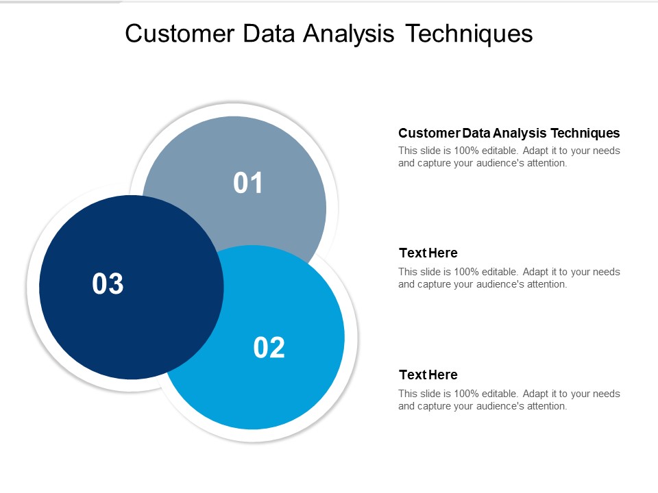 Customer Data Analysis Techniques Ppt PowerPoint Presentation Portfolio Graphics Pictures Cpb