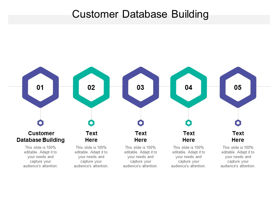Customer Database Building Ppt PowerPoint Presentation Inspiration Outline Cpb