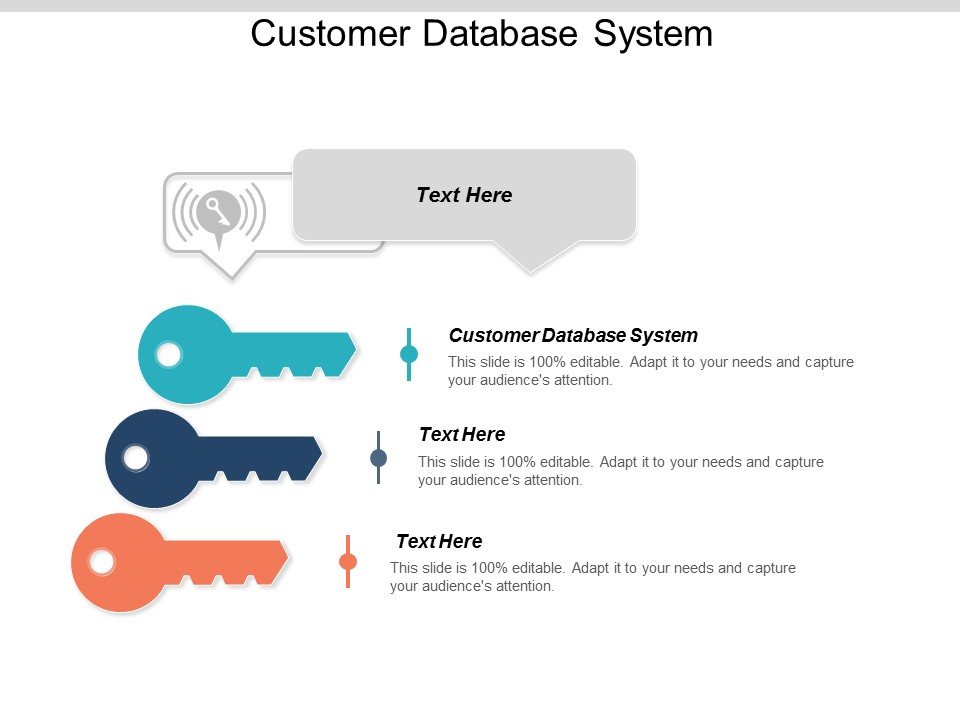 Customer Database System Ppt PowerPoint Presentation Summary Elements Cpb