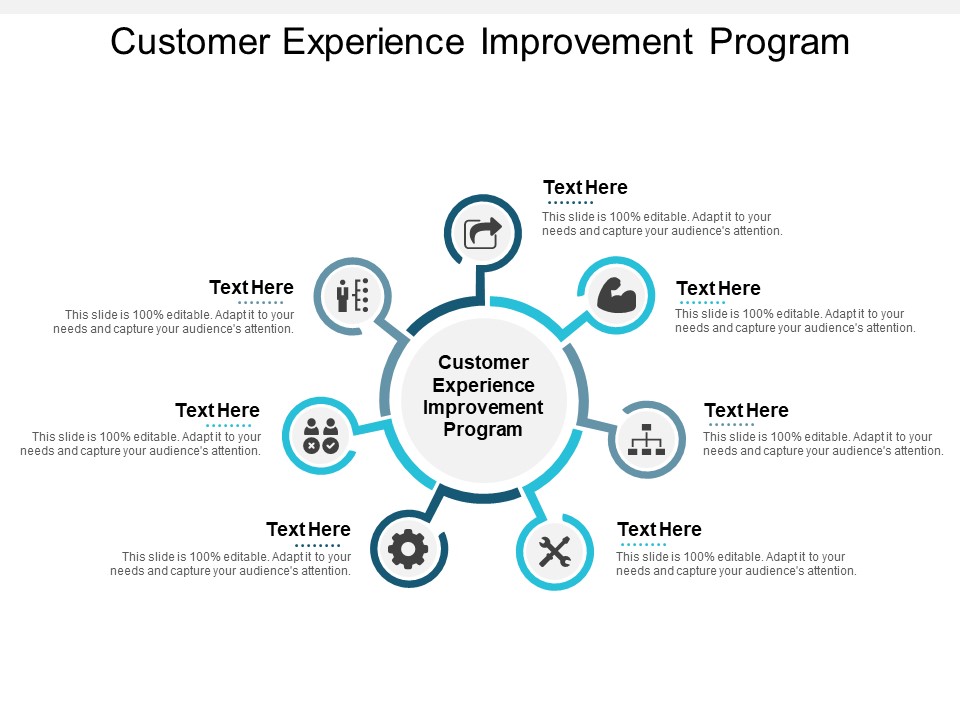 Customer Experience Improvement Program Ppt PowerPoint Presentation Model Gridlines Cpb