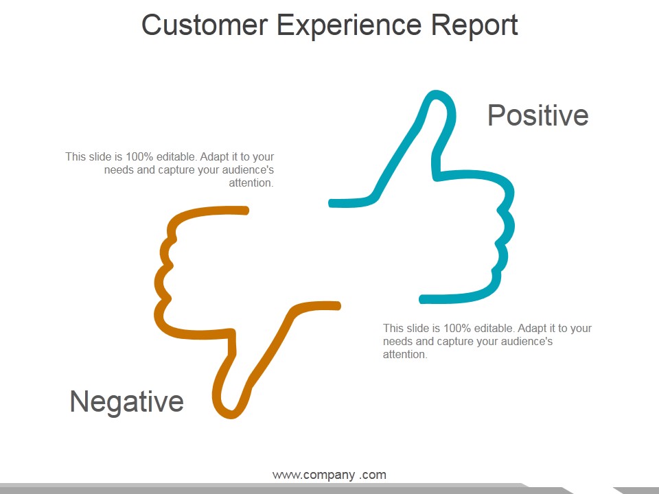 Customer Experience Report Ppt PowerPoint Presentation Infographics Portfolio