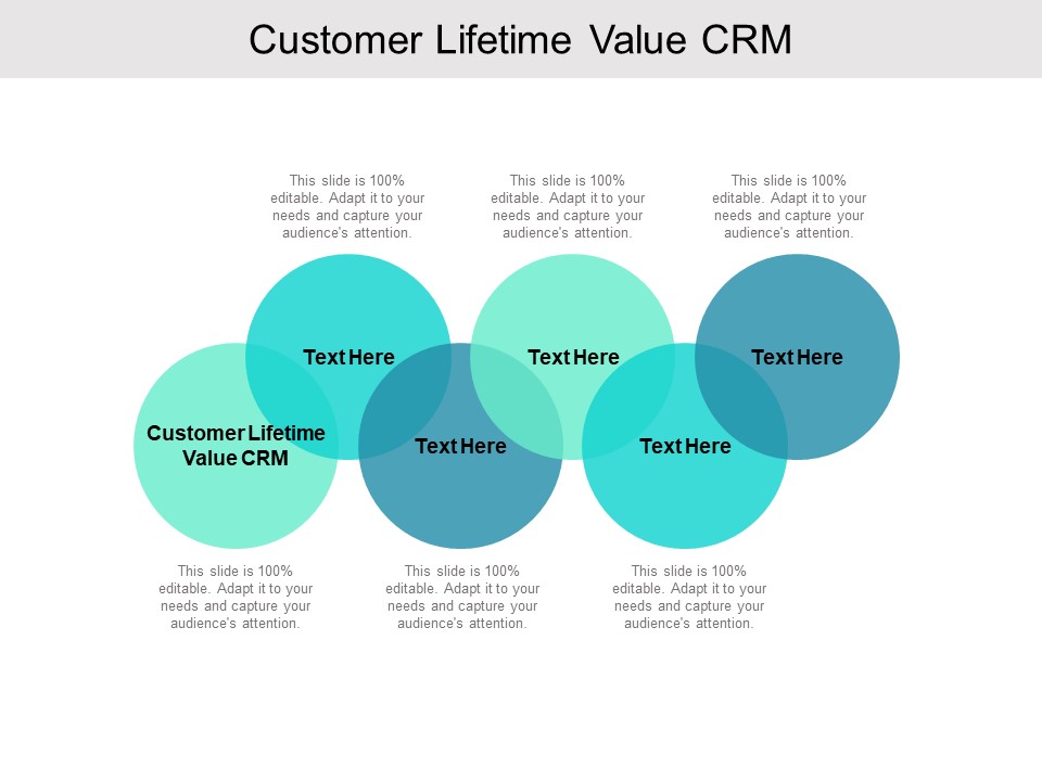 Customer Lifetime Value Crm Ppt PowerPoint Presentation File Graphics Cpb