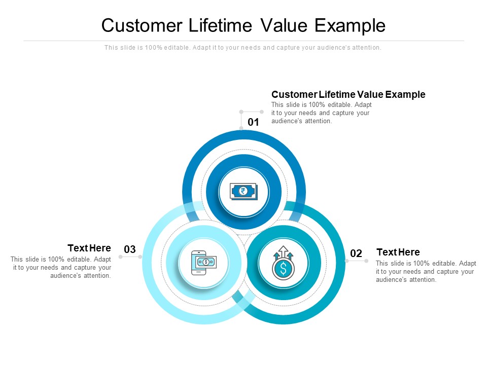 Customer Lifetime Value Example Ppt PowerPoint Presentation Layouts Clipart Images Cpb