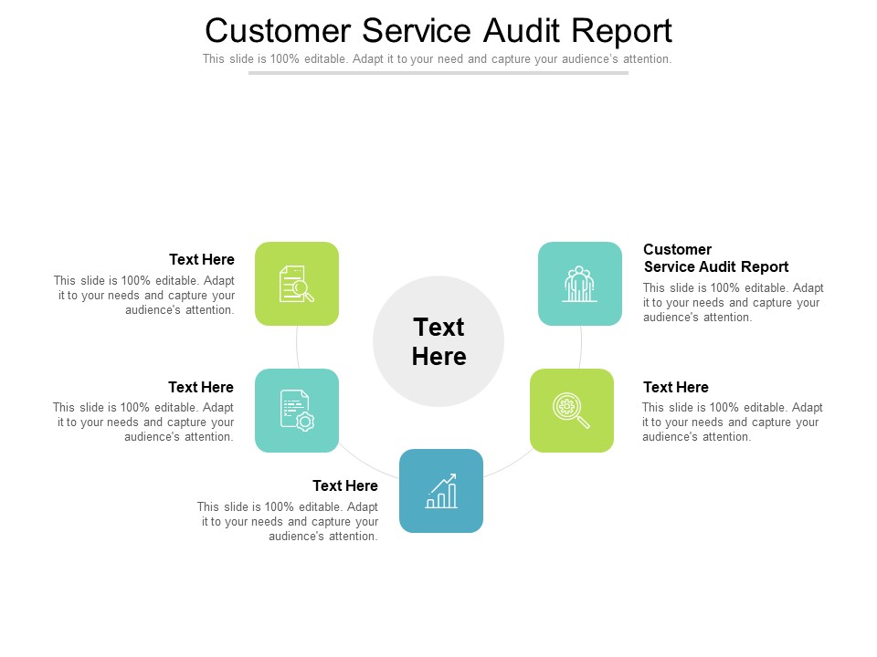 Customer Service Audit Report Ppt PowerPoint Presentation Portfolio File Formats Cpb Pdf