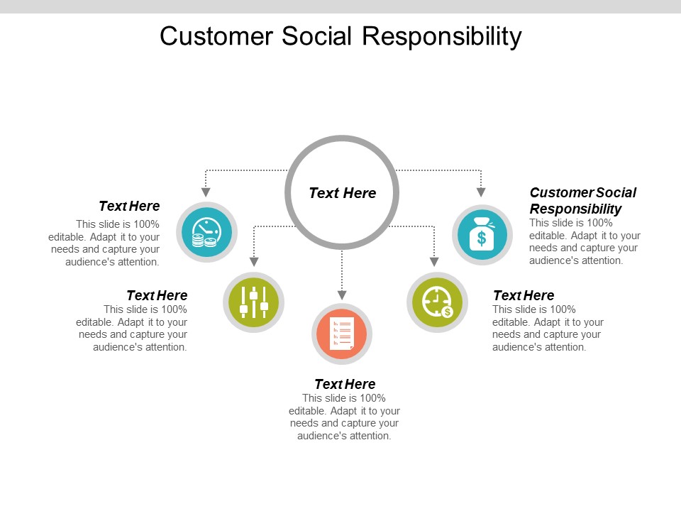 Customer Social Responsibility Ppt PowerPoint Presentation Icon Skills Cpb