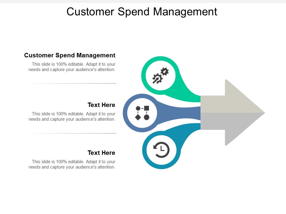 Customer Spend Management Ppt PowerPoint Presentation Pictures Designs