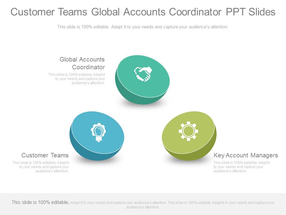 Customer Teams Global Accounts Coordinator Ppt Slides