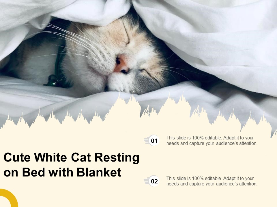 Cute White Cat Resting On Bed With Blanket Ppt PowerPoint Presentation Icon Infographic Template PDF