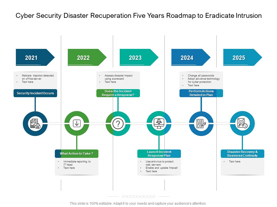 Cyber Security Disaster Recuperation Five Years Roadmap To Eradicate Intrusion Professional