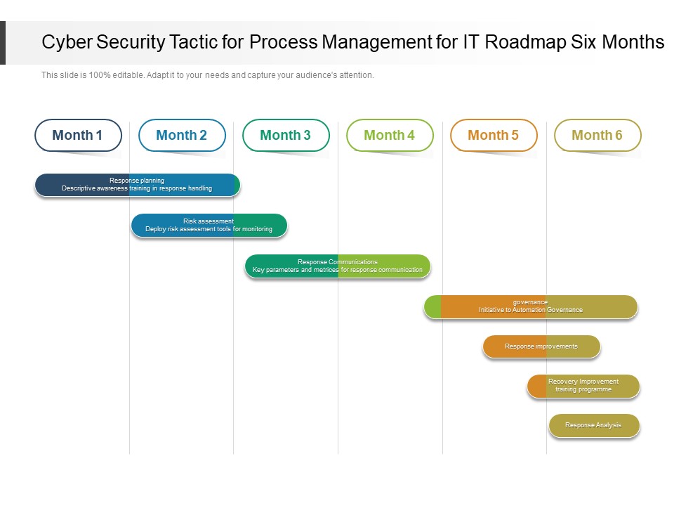 Cyber Security Tactic For Process Management For IT Roadmap Six Months Clipart
