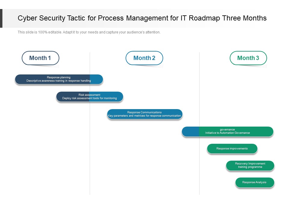 Cyber Security Tactic For Process Management For IT Roadmap Three Months Demonstration
