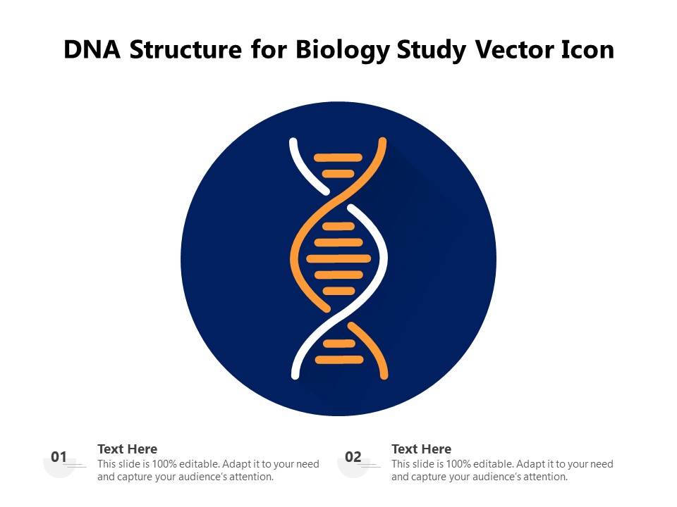 DNA Structure For Biology Study Vector Icon Ppt PowerPoint Presentation Gallery Background Designs PDF
