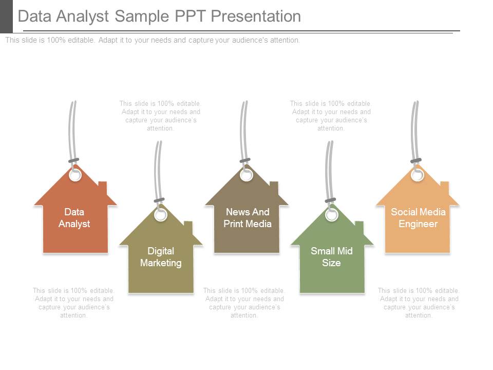 Data Analyst Sample Ppt Presentation