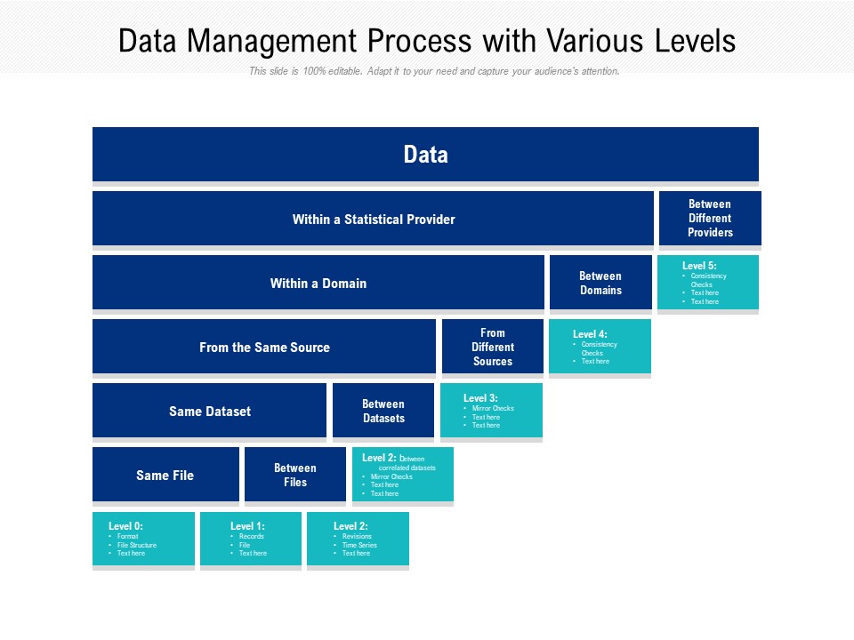 Data Management Process With Various Levels Ppt PowerPoint Presentation File Sample PDF