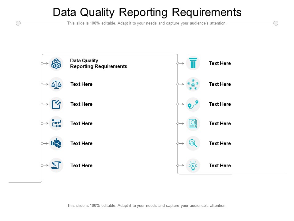 Data Quality Reporting Requirements Ppt PowerPoint Presentation Portfolio Introduction Cpb Pdf