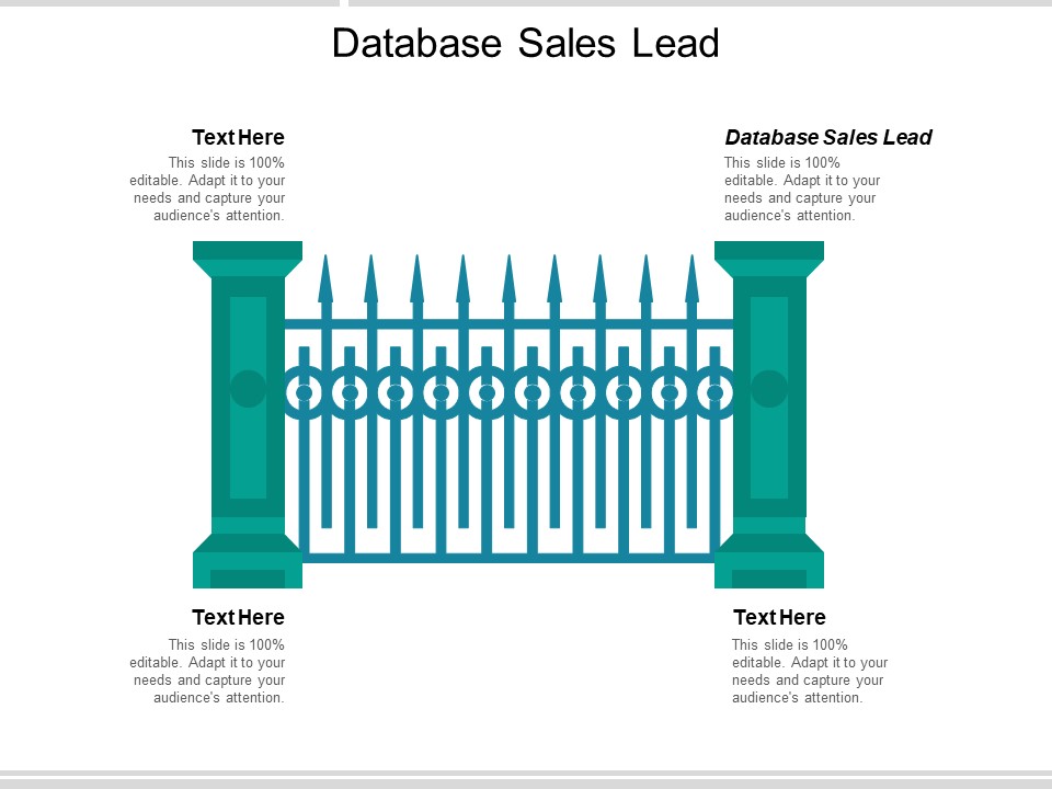 Database Sales Lead Ppt PowerPoint Presentation Outline Examples Cpb