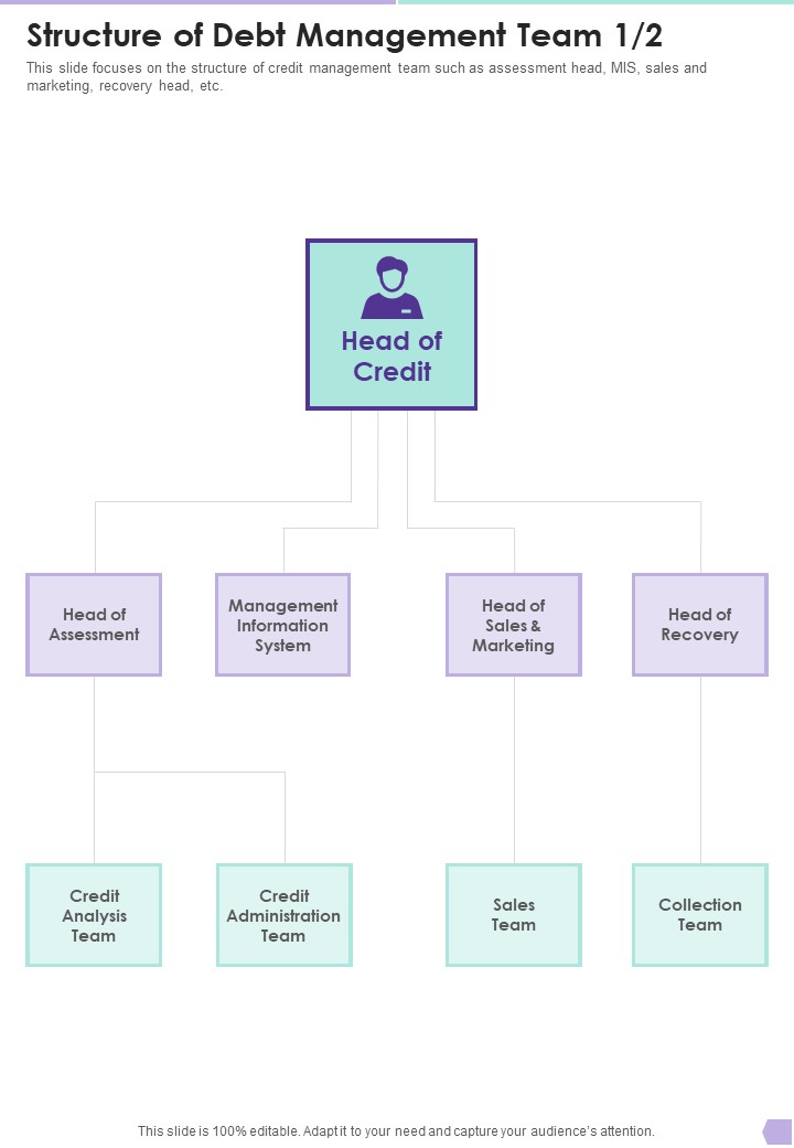 Debt Management Process Structure Of Debt Management Team One Pager Sample Example Document