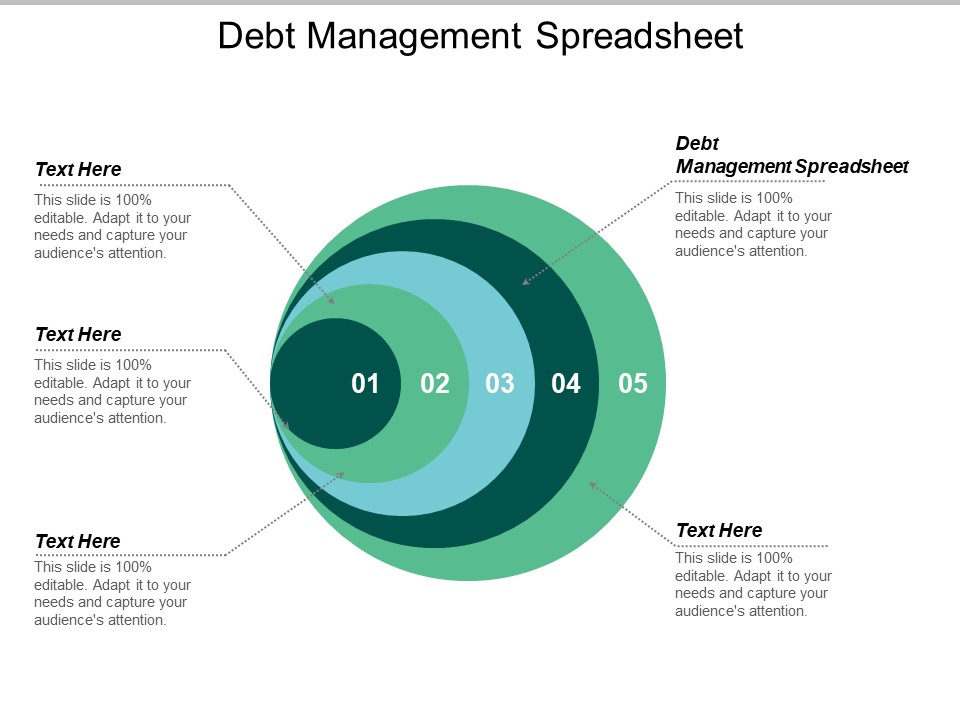 Debt Management Spreadsheet Ppt PowerPoint Presentation Pictures Portfolio Cpb