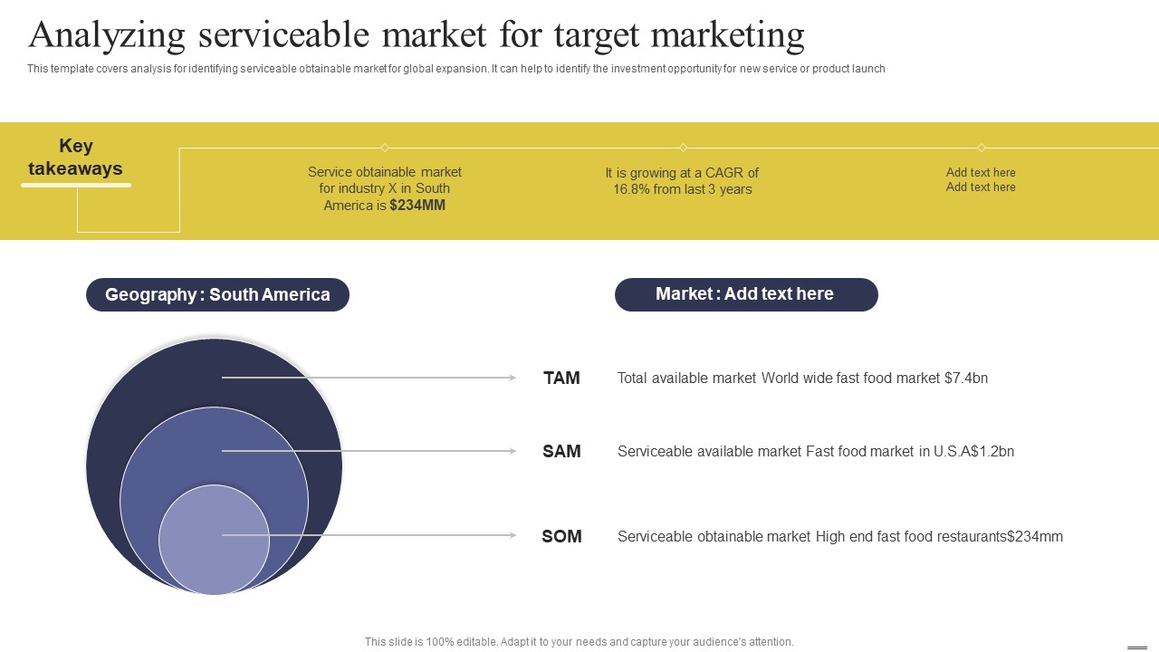 Defining Generic Target Marketing Techniques Analyzing Serviceable Market For Target Marketing Elements PDF