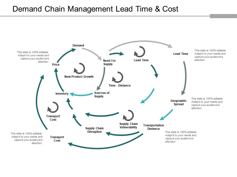 Demand Chain Management Lead Time And Cost Ppt Powerpoint Presentation Slides Objects