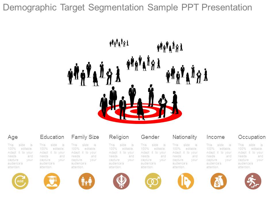 Demographic Target Segmentation Sample Ppt Presentation